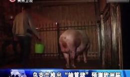 多人性交视频,探索多人性交的多元视角与情感纠葛