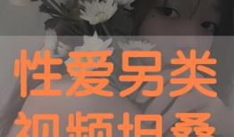 另类在线视频,探索网络世界的多元魅力