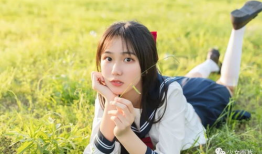 青青草视频,探寻自然之美，感受生命活力